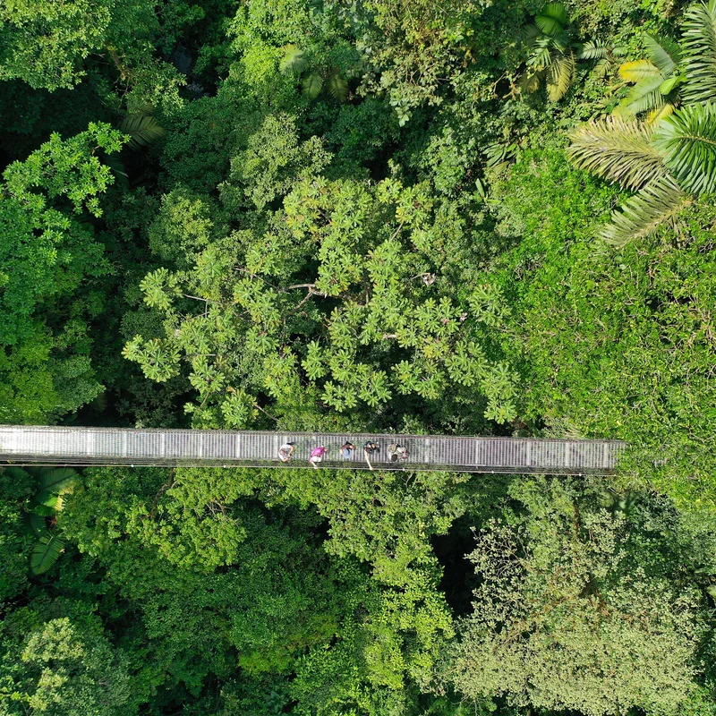 Randonnée à travers les ponts suspendus de Mistico entourés d'une végétation luxuriante.