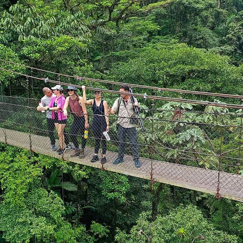 Exploration de la canopée de la forêt tropicale depuis les emblématiques ponts suspendus de Mistico.