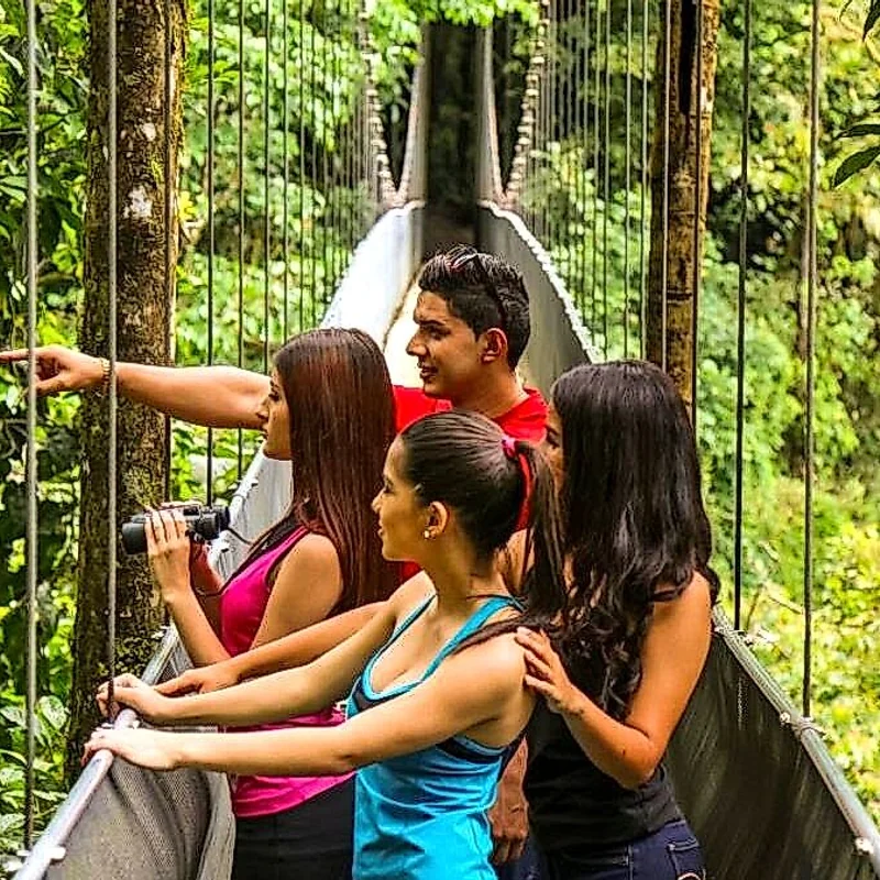 Sentier d'aventure à travers des ponts suspendus au-dessus de la jungle luxuriante.