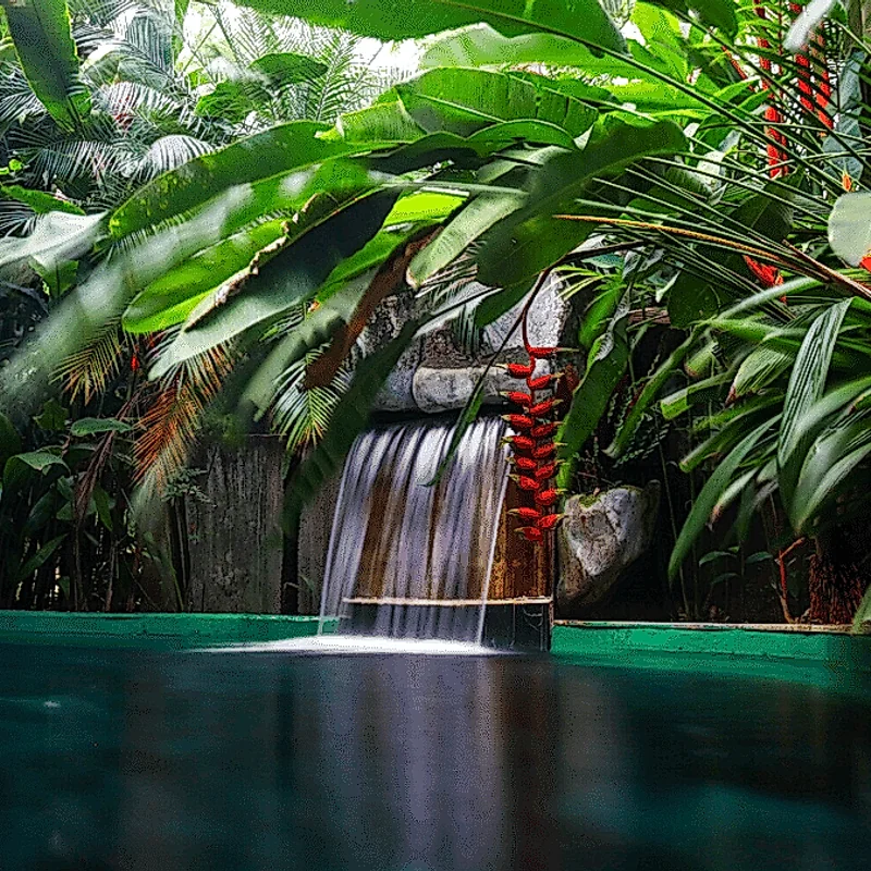 Discover the Benefits of Visiting the Hot Springs