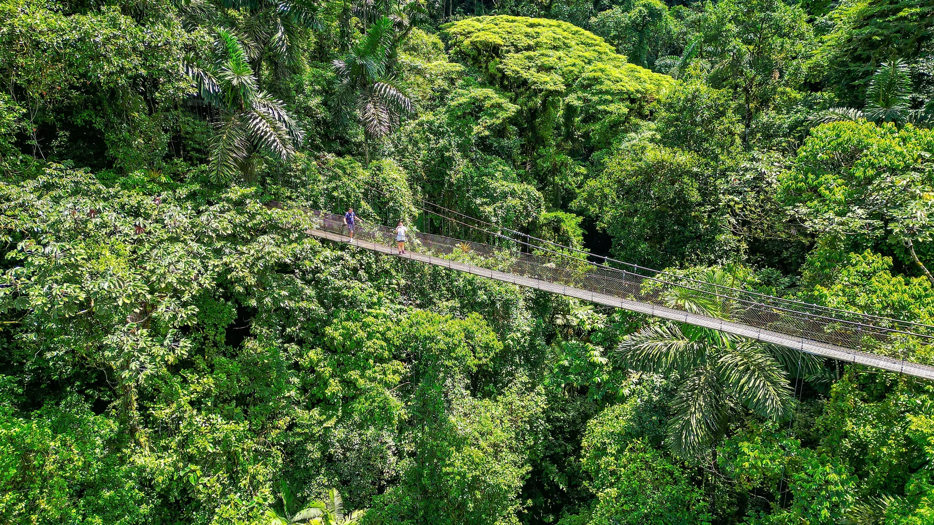 Sustainable Tourism in Costa Rica Rainforest