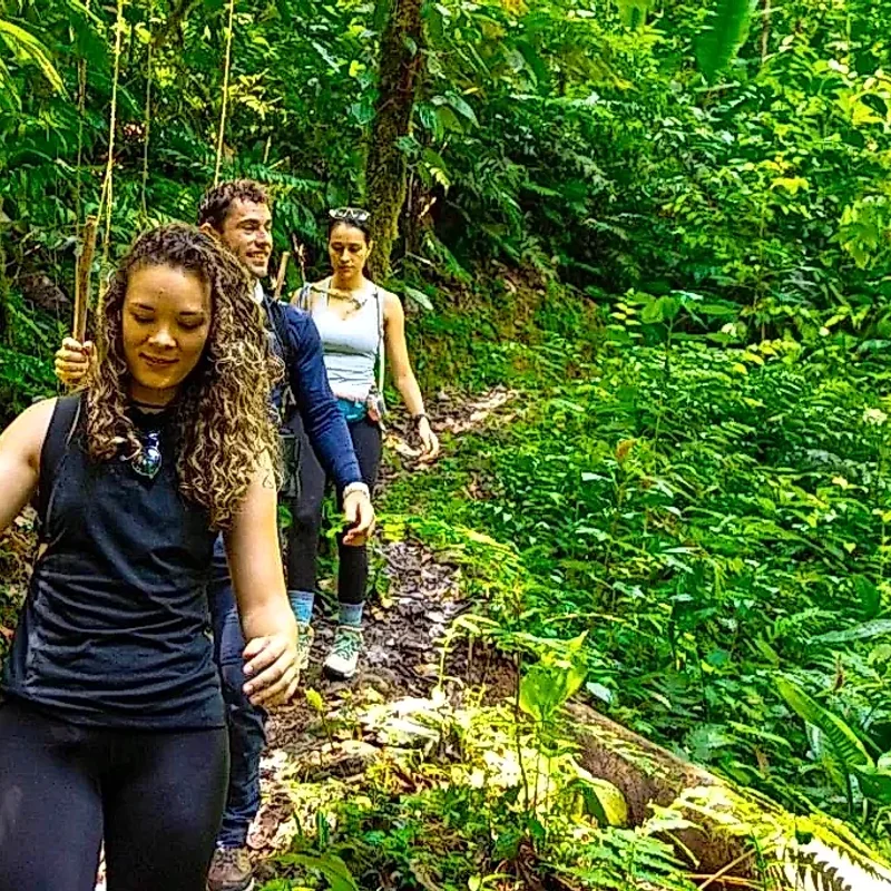 Tiefgreifende Wanderung durch den unberührten Dschungel von La Fortuna zur Entdeckung natürlicher Schätze.