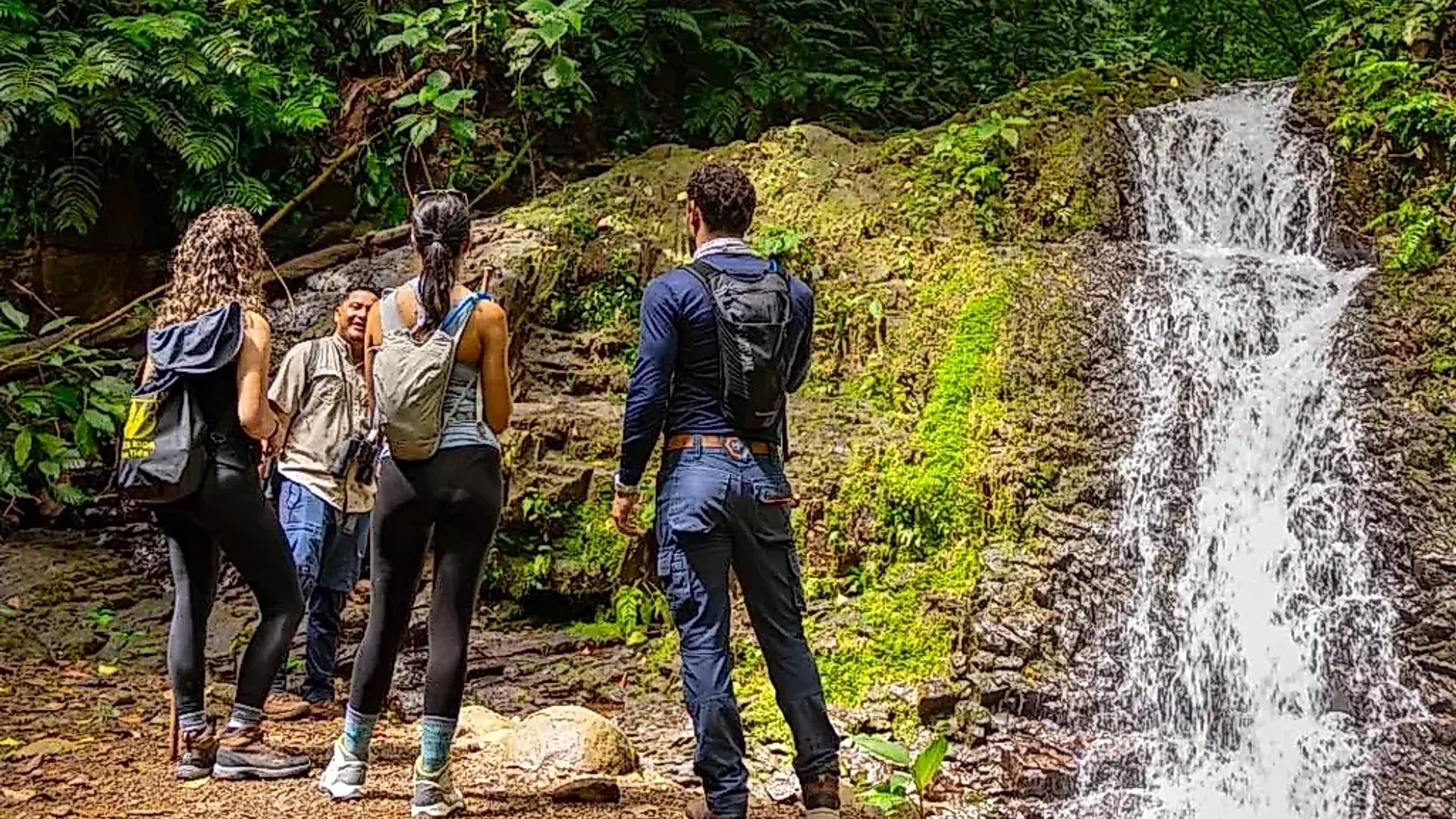 Expérience de randonnée stimulante et enrichissante au cœur du Costa Rica.