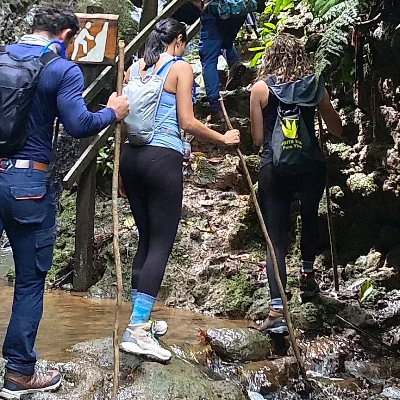 Aventuriers traversant un ruisseau pendant le tour de trekking dans la jungle.