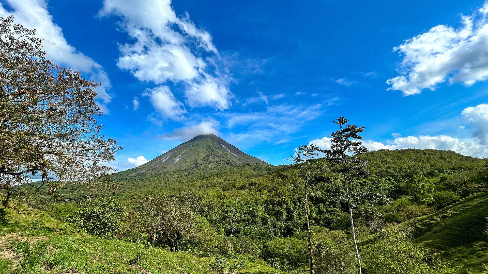 Hiking over the hanging bridges with panoramic views of the forest canopy.