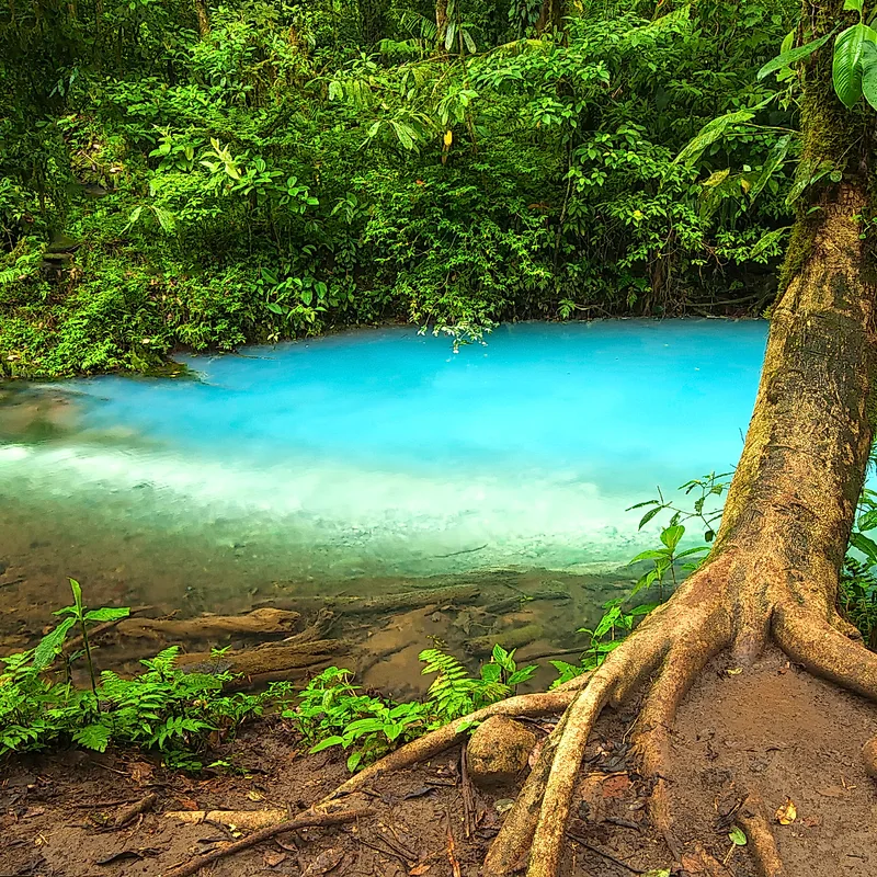 Majestueuse cascade de Rio Celeste avec ses célèbres eaux bleu turquoise.