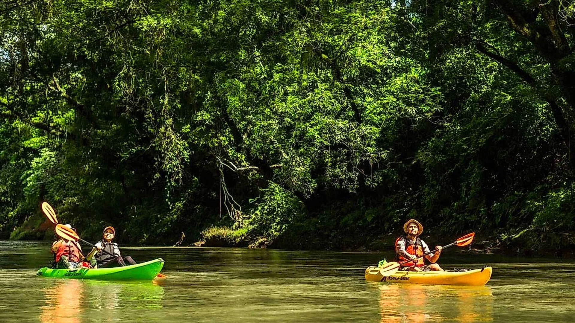 Eco-tourism adventure in a kayak through the calm waters of a tropical river.