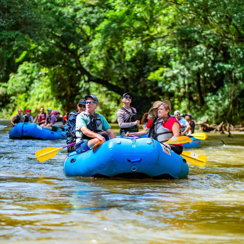 Navigation paisible sur la rivière Peñas Blancas pour apercevoir des singes et des paresseux.