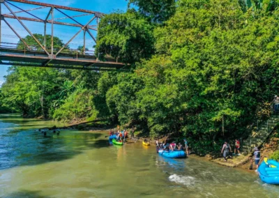 Beautiful nature in River tours in Costa Rica